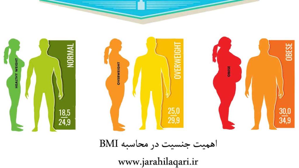در نظر گرفتن جنسیت برای محسابه BMI 