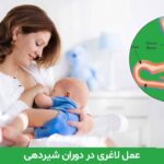 عمل لاغری در دوران شیردهی